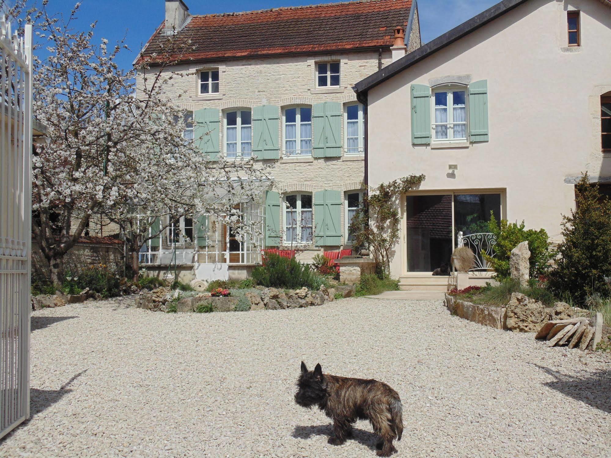 La Promenade En Champagne Bed & Breakfast Mussy-sur-Seine Exterior photo